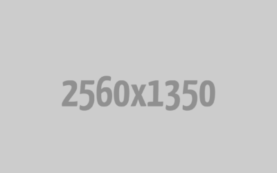 Design Sponge